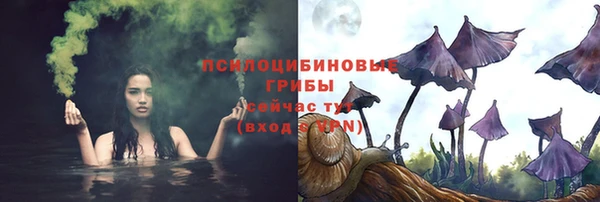 стафф Горняк