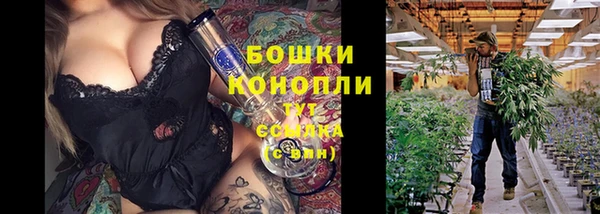 2c-b Горно-Алтайск