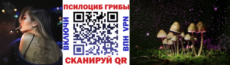 Купить  Нижнеудинск  Псилоцибиновые грибы Cubensis 