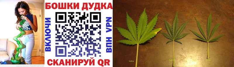 Купить где  Нижнеудинск  Бошки марихуана план 